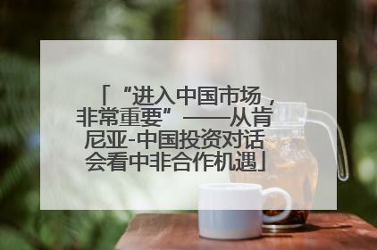 “进入中国市场，非常重要”——从肯尼亚-中国投资对话会看中非合作机遇