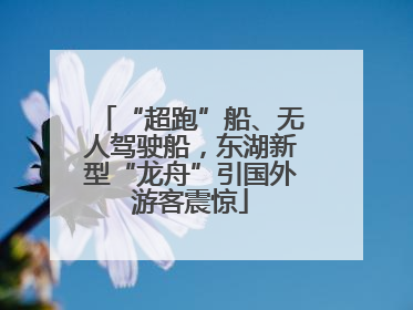 “超跑”船、无人驾驶船，东湖新型“龙舟”引国外游客震惊