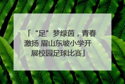 “足”梦绿茵，青春激扬 眉山东坡小学开展校园足球比赛