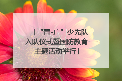 “青-广”少先队入队仪式暨国防教育主题活动举行