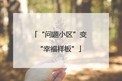 “问题小区”变“幸福样板”