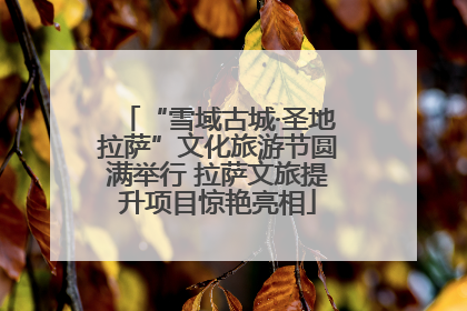 “雪域古城·圣地拉萨”文化旅游节圆满举行 拉萨文旅提升项目惊艳亮相