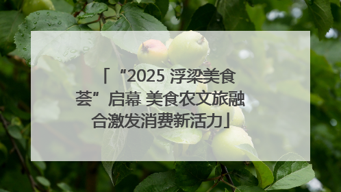 “2025 浮梁美食荟”启幕 美食农文旅融合激发消费新活力