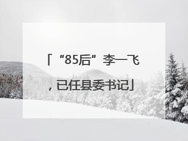 “85后”李一飞，已任县委书记