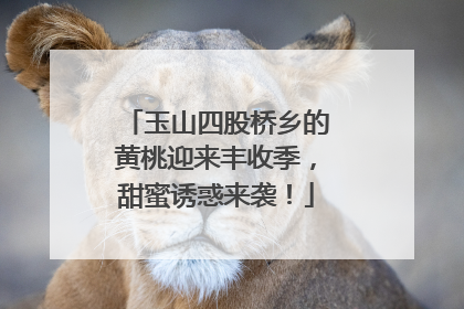 玉山四股桥乡的黄桃迎来丰收季，甜蜜诱惑来袭！