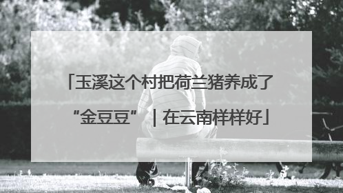 玉溪这个村把荷兰猪养成了“金豆豆”｜在云南样样好