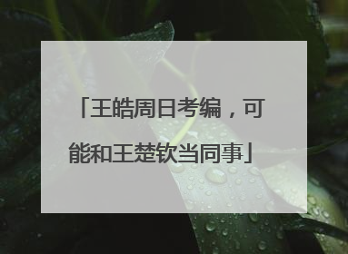 王皓周日考编，可能和王楚钦当同事