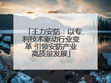 王力安防：以专利技术驱动行业变革 引领安防产业高质量发展