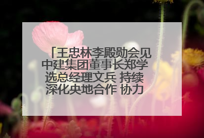 王忠林李殿勋会见中建集团董事长郑学选总经理文兵 持续深化央地合作 协力推动支点建设
