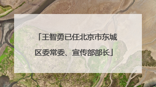 王智勇已任北京市东城区委常委、宣传部部长