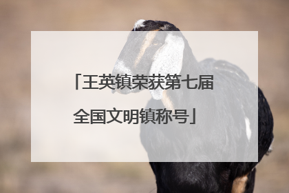 王英镇荣获第七届全国文明镇称号