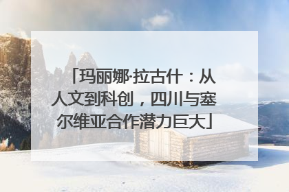 玛丽娜·拉古什：从人文到科创，四川与塞尔维亚合作潜力巨大