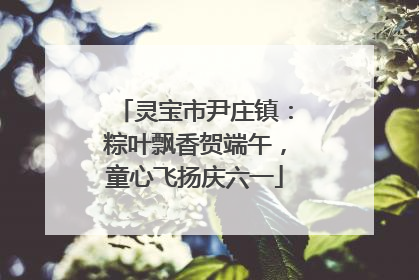 灵宝市尹庄镇：粽叶飘香贺端午，童心飞扬庆六一