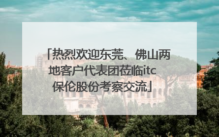 热烈欢迎东莞、佛山两地客户代表团莅临itc保伦股份考察交流