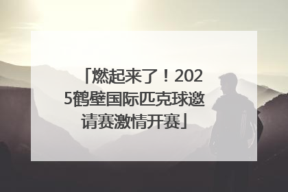 燃起来了！2025鹤壁国际匹克球邀请赛激情开赛