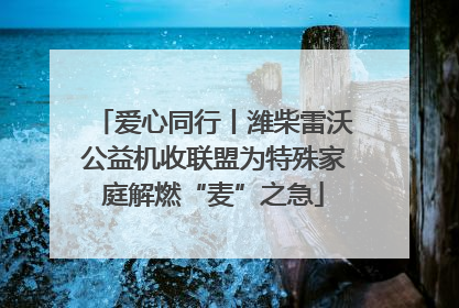 爱心同行丨潍柴雷沃公益机收联盟为特殊家庭解燃“麦”之急
