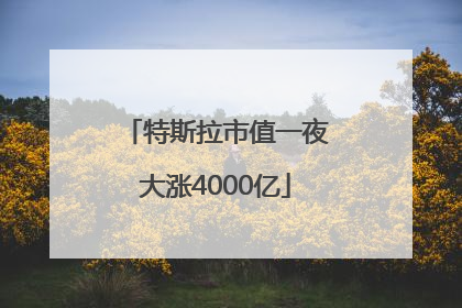 特斯拉市值一夜大涨4000亿