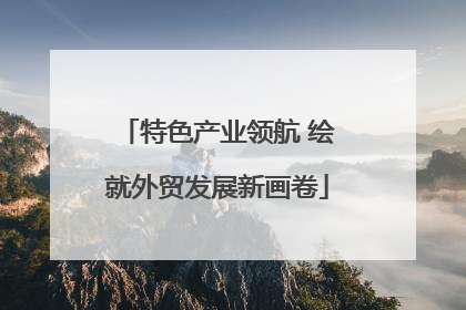 特色产业领航 绘就外贸发展新画卷
