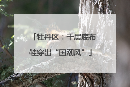 牡丹区：千层底布鞋穿出“国潮风”