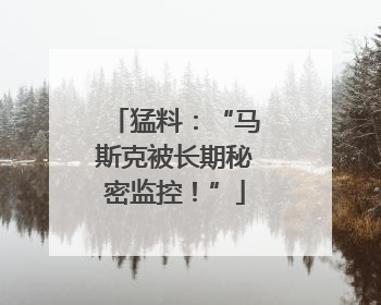 猛料：“马斯克被长期秘密监控！”