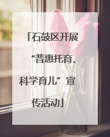 石鼓区开展“普惠托育、科学育儿”宣传活动