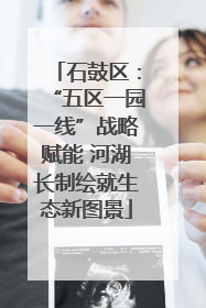 石鼓区：“五区一园一线”战略赋能 河湖长制绘就生态新图景