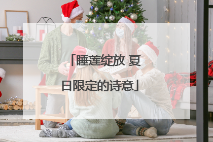 睡莲绽放 夏日限定的诗意