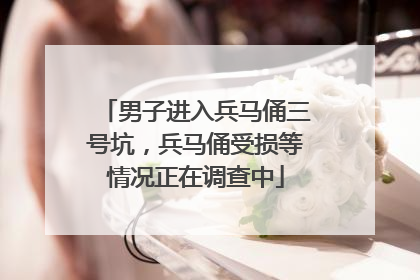 男子进入兵马俑三号坑，兵马俑受损等情况正在调查中