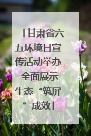 甘肃省六五环境日宣传活动举办 全面展示生态“筑屏”成效