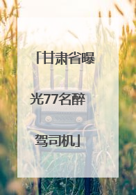甘肃省曝光77名醉驾司机