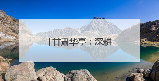 甘肃华亭：深耕链条兴产业 逐梦沃野绘新景