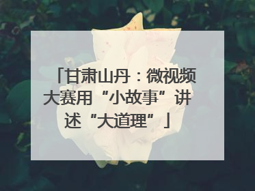 甘肃山丹：微视频大赛用“小故事”讲述“大道理”
