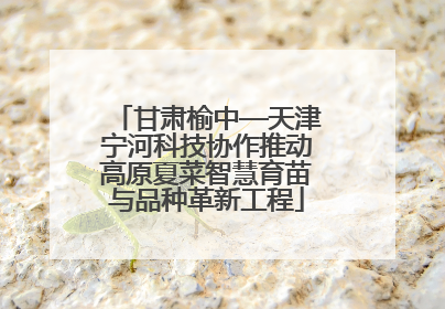 甘肃榆中—天津宁河科技协作推动高原夏菜智慧育苗与品种革新工程