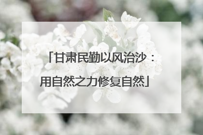 甘肃民勤以风治沙：用自然之力修复自然