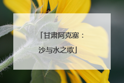 甘肃阿克塞：沙与水之歌