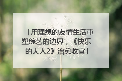 用理想的友情生活重塑综艺的边界，《快乐的大人2》治愈收官