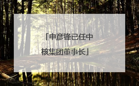 申彦锋已任中核集团董事长
