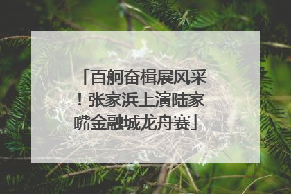 百舸奋楫展风采！张家浜上演陆家嘴金融城龙舟赛