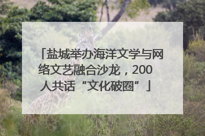 盐城举办海洋文学与网络文艺融合沙龙，200人共话“文化破圈”