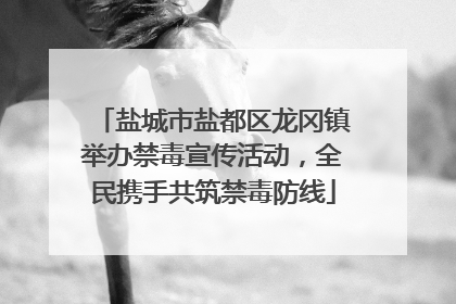 盐城市盐都区龙冈镇举办禁毒宣传活动，全民携手共筑禁毒防线