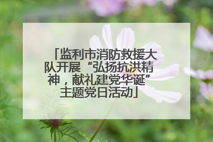 监利市消防救援大队开展“弘扬抗洪精神，献礼建党华诞”主题党日活动