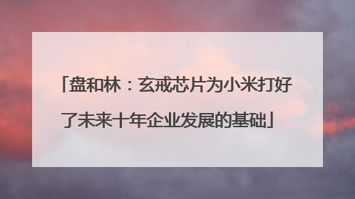 盘和林：玄戒芯片为小米打好了未来十年企业发展的基础