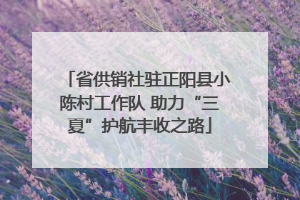 省供销社驻正阳县小陈村工作队 助力“三夏”护航丰收之路