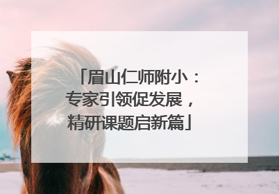 眉山仁师附小：专家引领促发展，精研课题启新篇