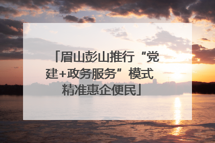眉山彭山推行“党建+政务服务”模式 精准惠企便民
