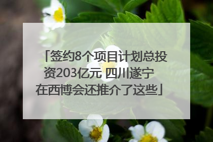签约8个项目计划总投资203亿元 四川遂宁在西博会还推介了这些