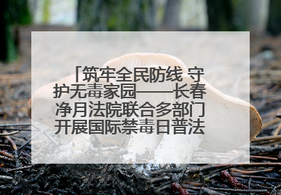 筑牢全民防线 守护无毒家园——长春净月法院联合多部门开展国际禁毒日普法宣传活动