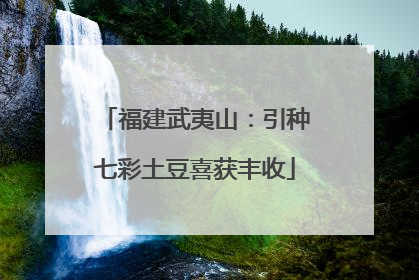 福建武夷山：引种七彩土豆喜获丰收
