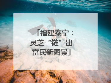 福建泰宁：灵芝“链”出富民新图景