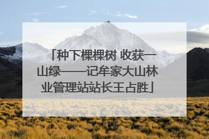 种下棵棵树 收获一山绿——记牟家大山林业管理站站长王占胜